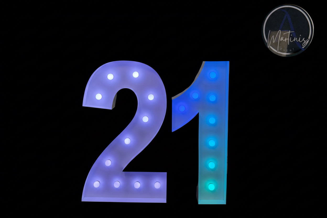 2N-21 light up